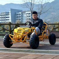 Kart à moteur 125cc haute vitesse avec moteur à essence 4 temps pour la course tout-terrain professionnelle et le divertissement des adultes