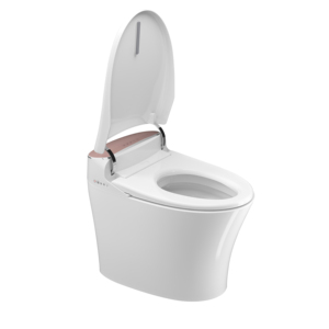 Ebony Ass Cleaner Ebony Ass Cleaner