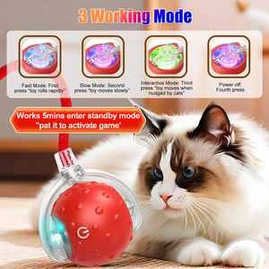 Balle interactive électrique intelligente pour chat, avec appels d'oiseaux, jouet roulant pour animaux de compagnie, jouets de mouvement interactifs pour animaux, en promotion - Product Image 5