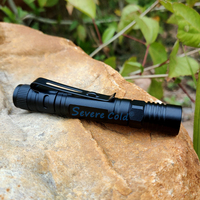 Mini lampe de poche LED 5 W