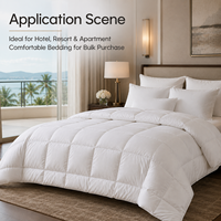Couette Blanche Taille Personnalisée pour Hôtels, Toutes Saisons (Été, Hiver), Direct Usine, Fournisseur Exportateur