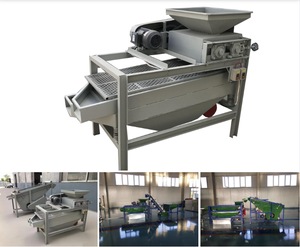 Kayısı çekirdeği badem ve fındık Shelling makinesi soyma makinesi - Product Image 6