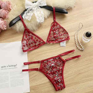 Wholesale Floral Embroidery Lingerie Set Women Sheer Mesh Underwire <b>Bra</b> and Thong 2 Piece Set SeeThrough Ladies Sexy <b>Bra</b> Set - Product Image 4