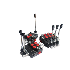 Válvula de Control Direccional Monobloque Hidráulica de 2 Bobinas P120-A1-GKZ1 con Retorno por Resorte |   Fabricante Directo de Fábrica y OEM/ODM - Product Image 2