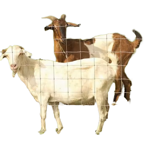 ลวดเหล็กกล้าคาร์บอนชุบสังกะสีแบบจุ่มร้อน ป้องกันสนิม <span class=keywords><strong>รั้ว</strong></span>กั้นป้องกันการปีนป่ายสำหรับปศุสัตว์ เพื่อความปลอดภัยใน<span class=keywords><strong>บ้าน</strong></span> และขนาดที่ปรับแต่งได้ - Product Image 4