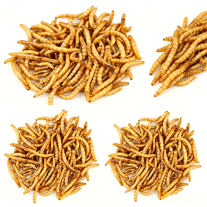 Vermi Gialli Essiccati, Alimento Naturale a Base di Proteine di Insetti per Uccelli Selvatici - Product Image 3