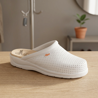 Chaussures de travail unisexes de qualité supérieure Blanco Color Sabot respirant antibactérien pour la santé et l'horeca
