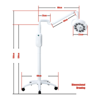Lampe LED verticale mobile à fixation au plafond pour salles d'opération, salons de beauté et cliniques dentaires - Lampe d'examen sans ombre