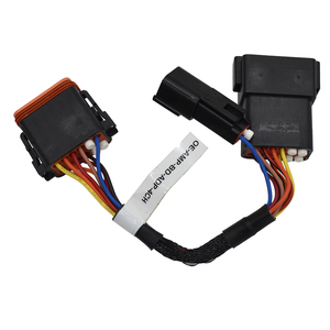 12 pin ile komple araba amplifikatör kablo demeti konektörü açın ve araç modifikasyonu için dişi konnektör kablo montajı - Product Image 2