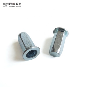 Rivet à tête plate en acier au carbone M10 M12, revêtement zinc, corps hexagonal complet à extrémité fermée pour base d'équipement, fabriqué en Chine - Product Image 2