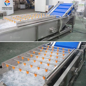 เครื่องล้างมะเขือเทศแบบฟองอากาศ 1000-1400 กก./ชม. เครื่องล้างมะเขือเทศแบบฟองอากาศแรงสูง - Product Image 3