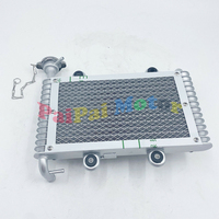 Bashan 200CC 250CC ATV Quad radiateur pour Bashan 200-250CC ATV