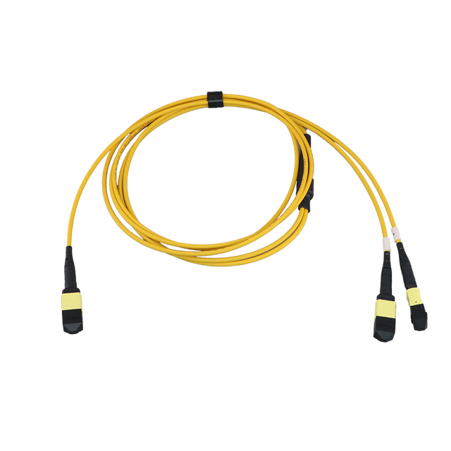 MPO 16F -2*8F MTP/MPO Breakout Patch Cord Singlemode SM APC MM Om3 Om4 MTP MPO 16 Core Fiber Trunk Cable