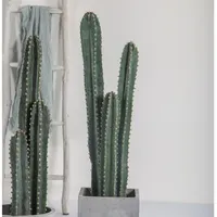 80cm 100cm 155cm pianta di Cactus artificiale in materiale plastico per la decorazione di casa e giardino