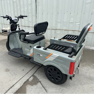 Le tout nouveau tricycle à grande puissance pour adultes avec le meilleur prix - Product Image 5