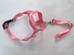 QUCHONPET 2024 Hot Best Selling Hot Gentle Leader Leader No Pull Dog <b>Collar</b> and <b>Leash</b> Perfect for Training - Product Image 3
