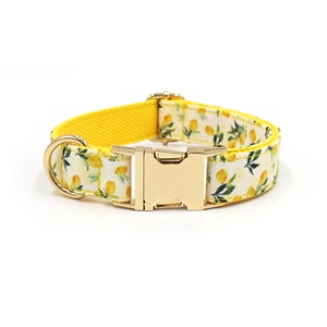 Nuevas Ideas para pequeñas empresas 2025, <span class=keywords><strong>Collar</strong></span> de perro a la moda con patrón de frutas, collares bonitos de poliéster para perros, <span class=keywords><strong>Collar</strong></span> de perro con logotipo personalizado dorado - Product Image 3