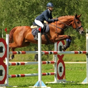 Spectacle équestre écologique de style occidental Obstacles de saut d'obstacles Poteau en PVC léger personnalisable Sauts de <span class=keywords><strong>cheval</strong></span> en aluminium - Product Image 4