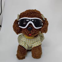 Lunettes pour animaux de compagnie JXANRY pour mini chiens et terriers/schnauzers - Lunettes de soleil tendance en PVC avec protection UV pour les activités de plein air