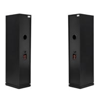 Haut-de-Gamme Enceintes Hifi Colonnes Doubles 8 Pouces Finition Laque Piano Luxe pour Barres de Son Home Cinéma