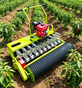 Semoir à oignons, machine à <span class=keywords><strong>semer</strong></span> les légumes, semoir à persil, fabriqué en Chine - Product Image 1