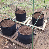 Piquets de soutien robustes en métal et plastique vert pour plantes grimpantes et tiges de soutien pour légumes et fleurs (vente en gros)