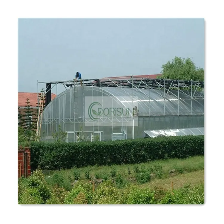 French Beautiful Used Plant Shadow Insulated Photovoltaic 20M Tunnel Customized Tent Welded Structure Greenhouse