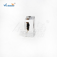 Plastomount transparent avec specimen d'abeille guêpe intégré, échantillon d'insecte hyménoptère réel pour la recherche en laboratoire d'entomologie CE/ISO/ROHS/CNAS