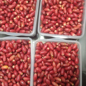 Frutos Secos Liofilizados al por Mayor, Extracto de Fruta Milagrosa de Grado Alimenticio, Suplemento, Empaque Personalizado, Suministro de Fábrica - Product Image 2