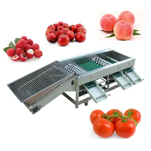 Automatic tomato grading sorting machine auto tomatoes weight sorter and grader line machines equipment cheap price for sale