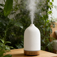 Humidificateur d'air en porcelaine pour bureau à domicile Diffuseur d'huiles essentielles en céramique Diffuseur d'arômes ultrasonique électrique Humidificateur d'air