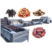 Usine complète de déshydratation des dattes, séchoir à jujubes, mûres, raisins, olives et fruits