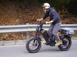 Eahora NUEVA Bicicleta Eléctrica de Montaña, E-bike de 20 Pulgadas con Llantas Anchas, Fatbike de 750w en Venta - Product Image 4