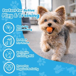 Balles de tennis colorées et résistantes pour animaux de compagnie, en caoutchouc durable, interactives et couineuses, pour l'entraînement et le jeu de rapport du chien, faciles à attraper - Product Image 5