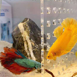 Separatore di plastica del pannello dell'acquario del bordo di isolamento del divisore del carro armato di pesce dell'acquario - Product Image 4