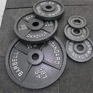 Placa de peso de hierro fundido pintado, producto de alta calidad para Fitness, 45LB