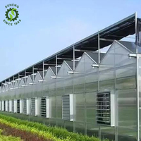 Fabrication en usine diverses serre à panneaux solaires agricoles à plusieurs étages à structure verte à vendre
