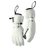 Gants de ski unisexes en polyester, imperméables, respirants, légers, anti-humidité, compatibles écran tactile, pour sports d'hiver et snowboard, vente en gros