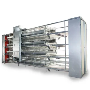 Wholesale New Design High Quality Broiler Cages With Fully Automatic Battery Cages