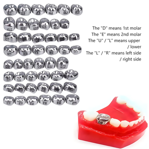 Corona dentale per bambini denti molari primari 1 ° 2 ° in acciaio inox pediatrico temporaneo corone dentista per la parte superiore/inferiore sinistra/destra - Product Image 2