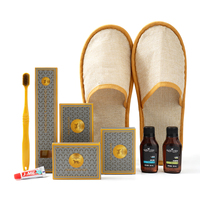 Kit d'articles de toilette personnalisés OEM pour hôtels - Ensemble complet de produits de toilette en bouteilles PET et emballages en papier, hygiéniques, en une seule pièce, pour hôtels et complexes hôteliers