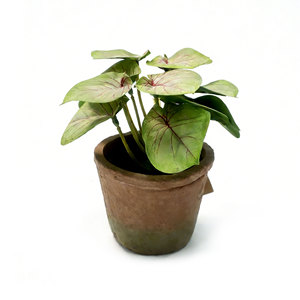 ต้นคาลาเดียมประดิษฐ์รูปทรงลูกศรในกระถางปูน ต้นไม้ประดิษฐ์เสมือนจริงสำหรับตกแต่งบ้านและเป็นของประดับตกแต่งกลางโต๊ะ - Product Image 1