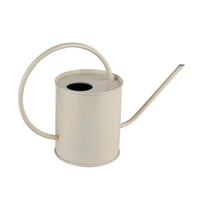 Arrosoir vintage en acier inoxydable 1,5 L écologique à long bec pour jardin et usage intérieur