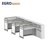 EGROspace Mobilier de bureau moderne et élégant : Poste de travail modulaire avec armoire double latérale et cloison