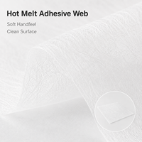 Vente chaude : Tissu thermofusible transparent en TPU pour lamination textile