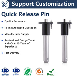 Pasador de Liberación Rápida PANQI CX802 de Acero Inoxidable con Cabeza Redonda, Perno de Bola de Bloqueo con Cuerda, Hombro, 20mm, Personalizado/En Stock - Product Image 1