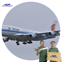Transporteur d'expédition AirCargo de Ningbo aux EAU Dubaï DDP ONT8