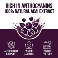Poudre de Myrtille de Qualité Alimentaire Fournie par l'Usine, Anthocyanine Sauvage, Poudre Fine Violet Foncé en Fût, Soluble Instantanément pour Smoothies