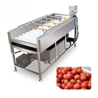 Machine de nettoyage automatique à rouleaux parallèles avec pulvérisation haute pression, idéale pour les lignes de transformation des tomates, légumes et fruits