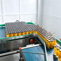 ENAK Automatische Gevulde Fruitlijn voor Aardbeien, Meidoorn, Gele Perziken - Multifunctioneel, Hoge Efficiëntie, Eenvoudige Bediening